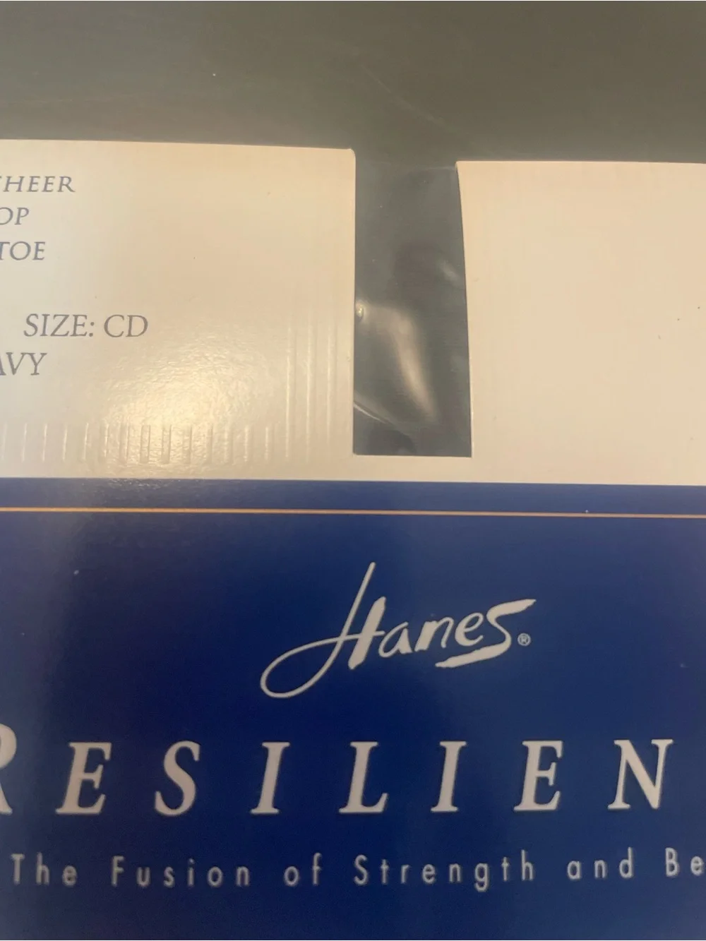 Hanes Resilience Classic Navy Hosiery nylons pantyhose control top sheer size CD
